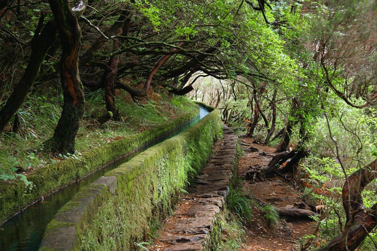 Moradia Ponte De Pedra Vila São Vicente